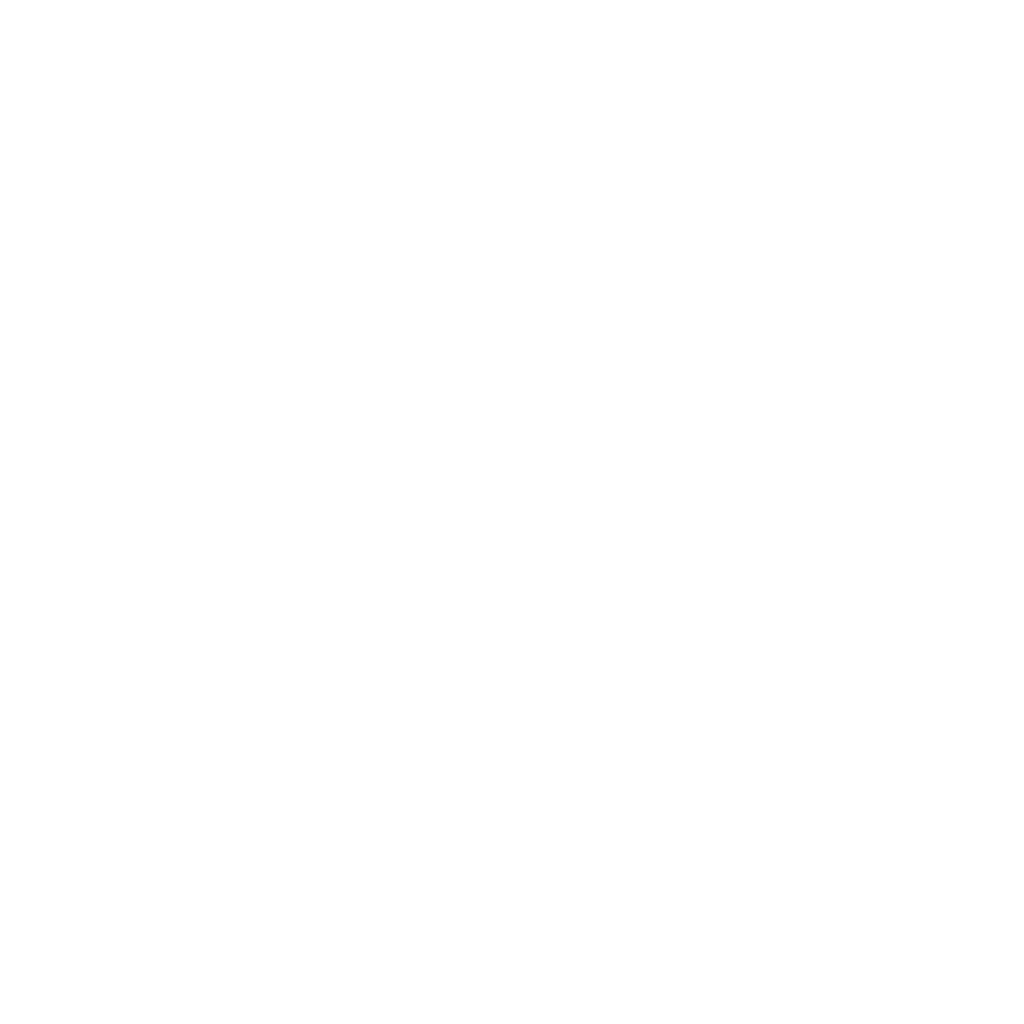 logo boxer srl